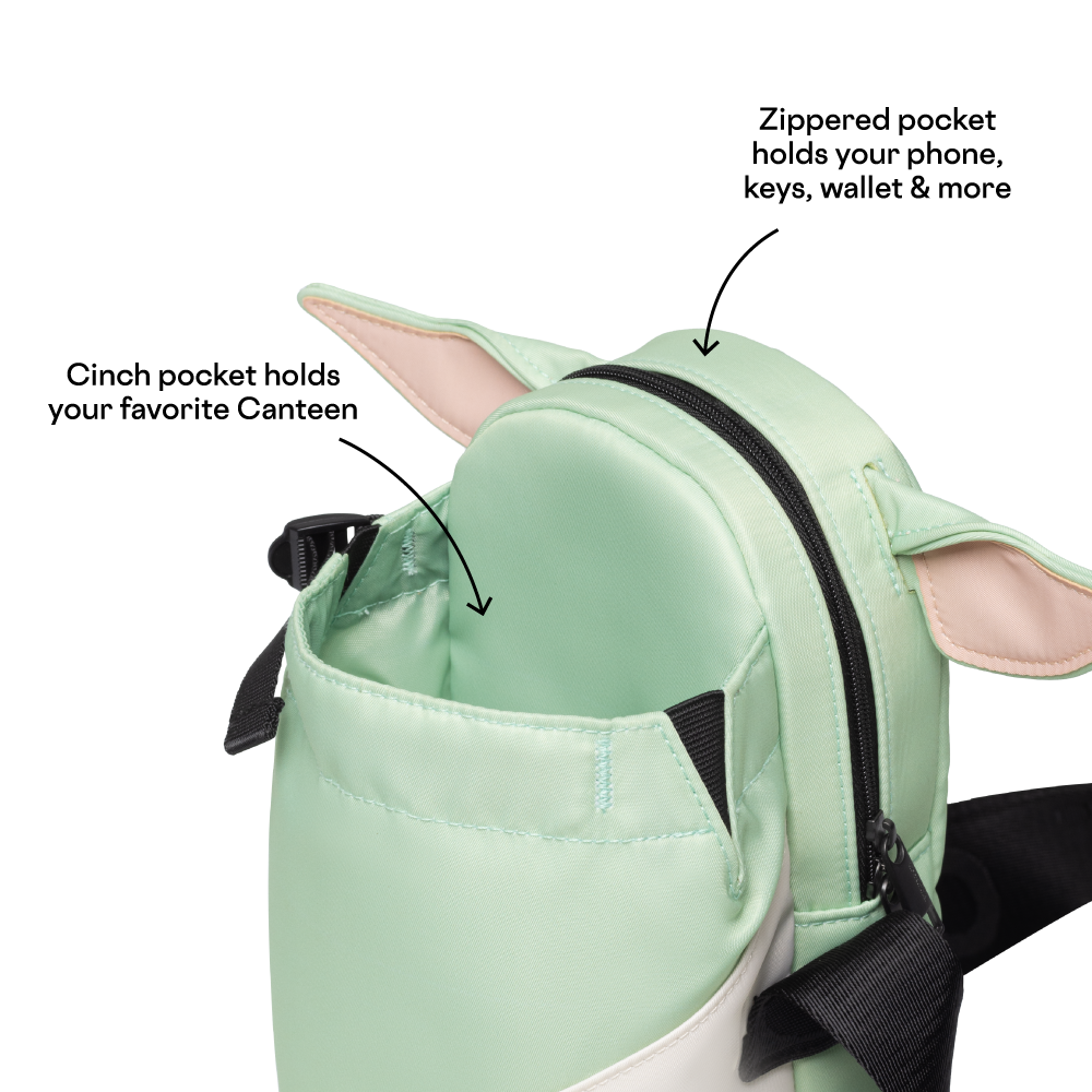 disney-sling-r0 53593b3e49e2--Sling-PDP-4.png