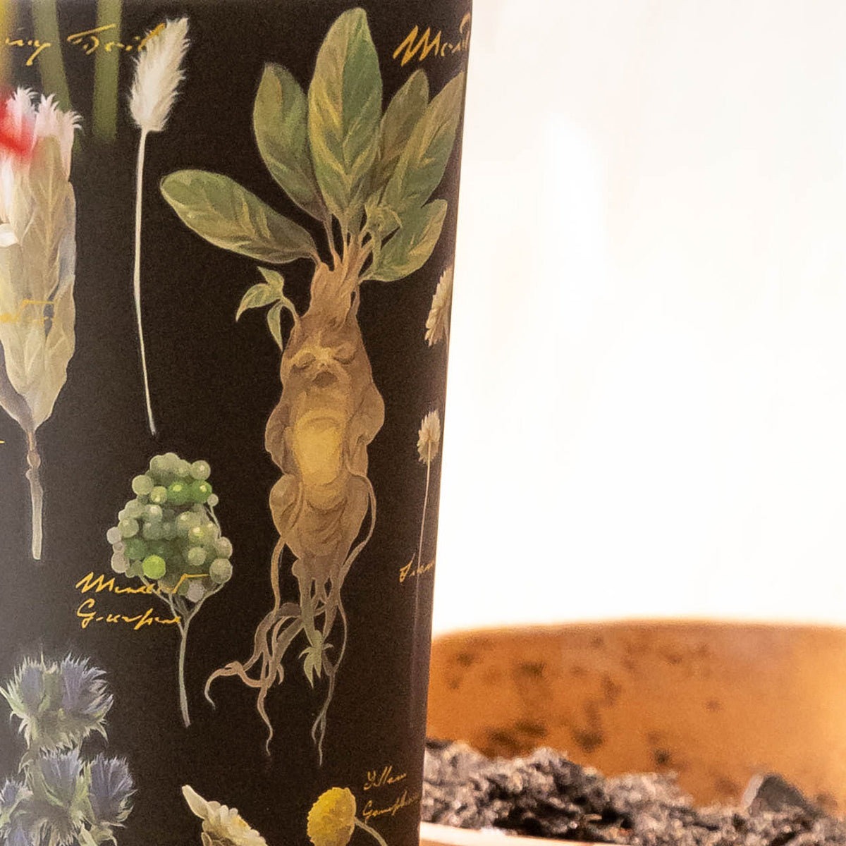 harry-potter-cold-cup-h9 Herbology-3.jpg